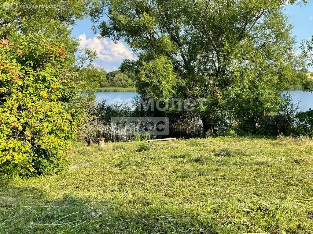 Участок в деревня Марьевка, 32 (42 м) - Фото 1