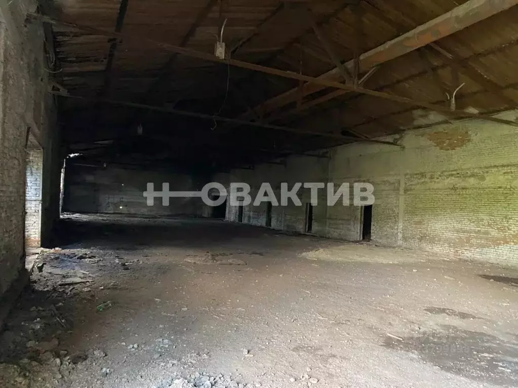 Производственное помещение в Новосибирская область, Коченево рп ул. ... - Фото 2