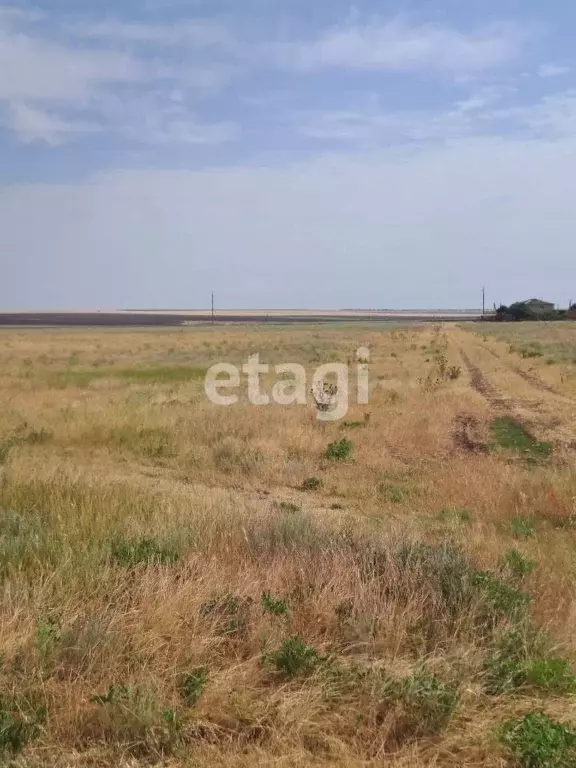 Участок в Крым, Черноморский район, с. Новоивановка ул. Дорожная (7.0 ... - Фото 1