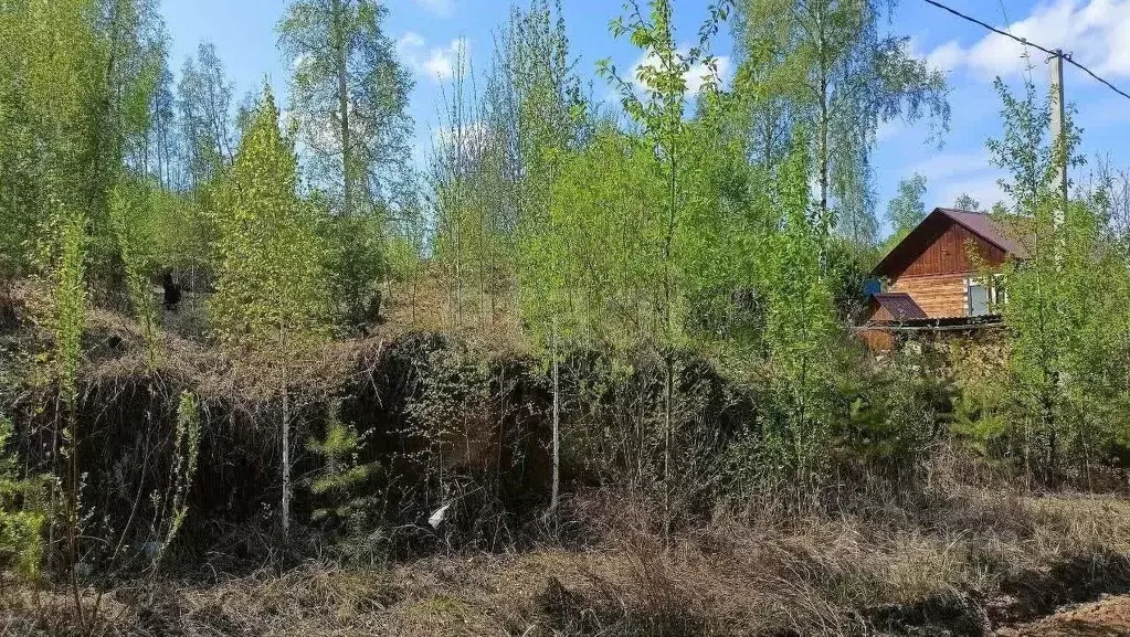 Участок в Иркутская область, Иркутский муниципальный округ, с. ... - Фото 1