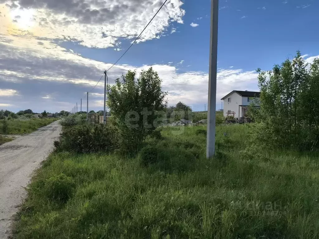 Участок в Калининградская область, Зеленоградский муниципальный округ ... - Фото 0