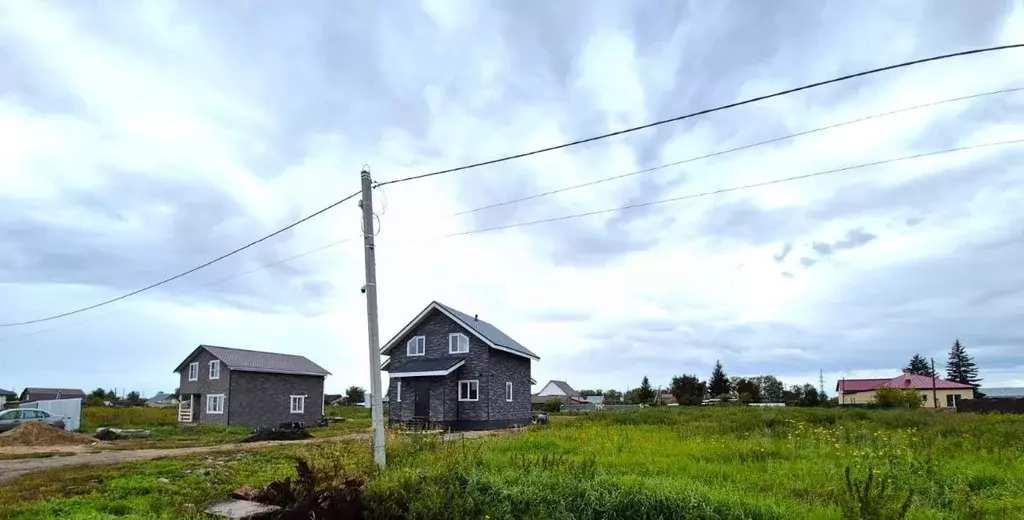 Участок в Омская область, Омский район муниципальный округ, с. Пушкино ... - Фото 1