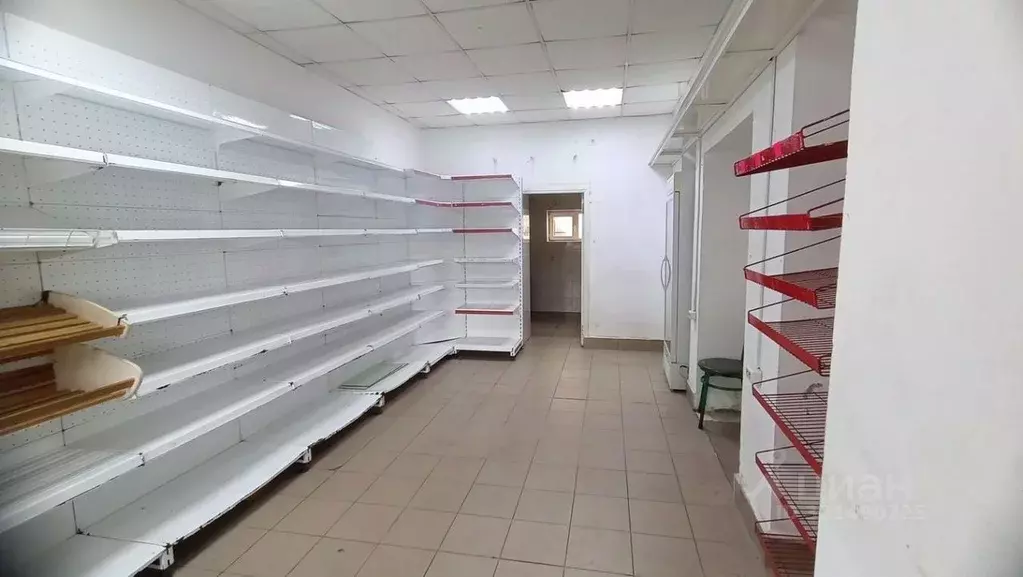 Помещение свободного назначения в Краснодарский край, Анапа Гребенская ... - Фото 1