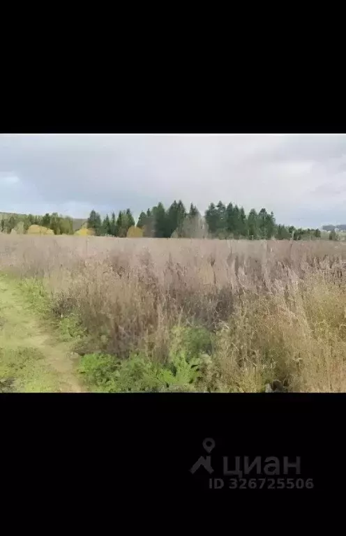 Участок в Московская область, Щелково городской округ, Лесной кв-л ул. ... - Фото 2