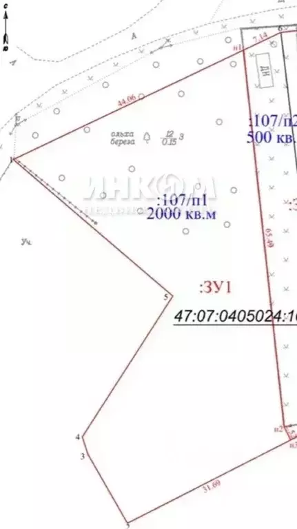 Участок в Ленинградская область, Всеволожский район, Агалатовское ... - Фото 1