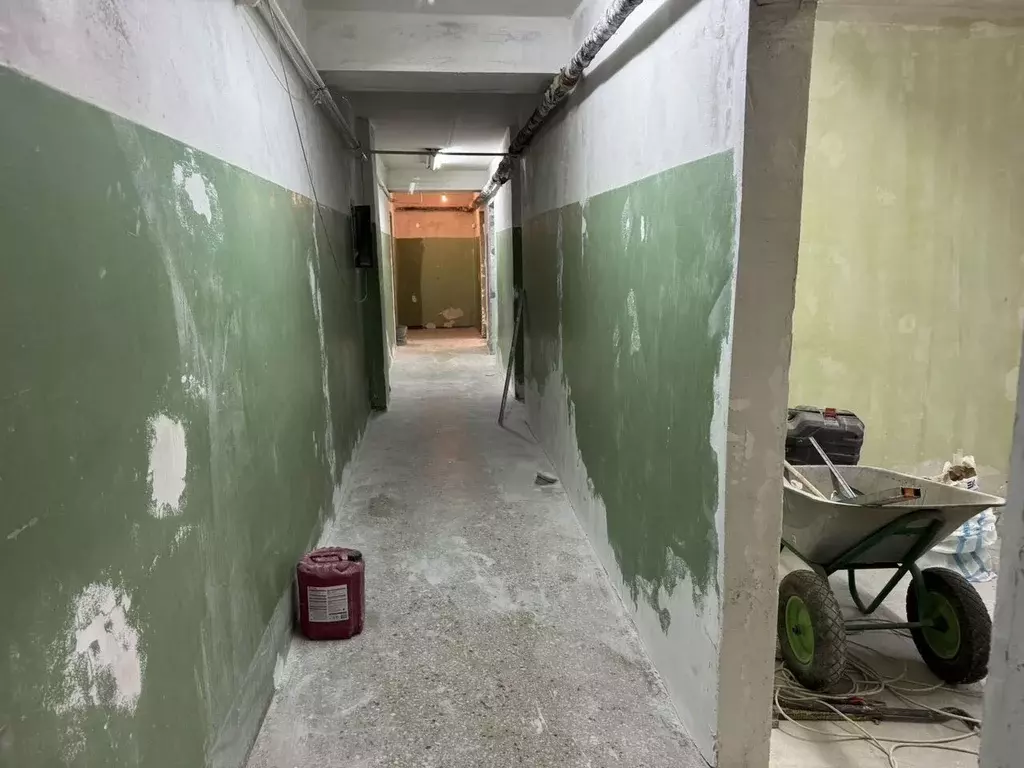 Помещение свободного назначения в Татарстан, Казань ул. Солидарности, ... - Фото 1