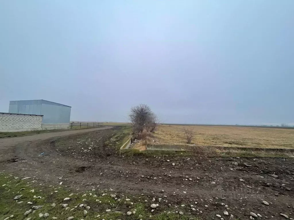 Участок в Кабардино-Балкария, Чегем ул. Ленина (5.0 сот.) - Фото 2