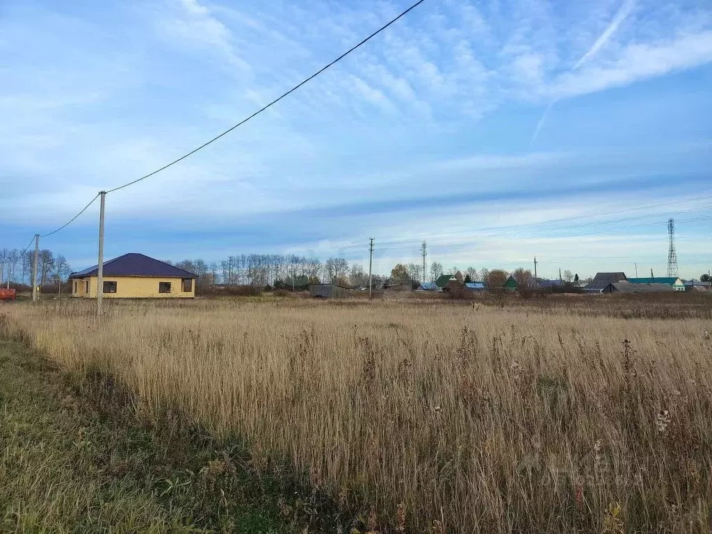 Участок в Тюменская область, Ярковский район, с. Дубровное  (12.0 ... - Фото 0