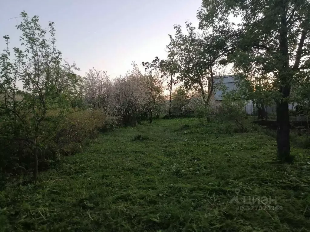 Участок в Челябинская область, Челябинск Сигнал-1 СНТ, 430 (400.0 ... - Фото 1