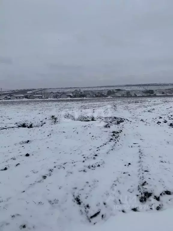 Участок в Белгородская область, Белгородский район, Головинское с/пос, ... - Фото 1