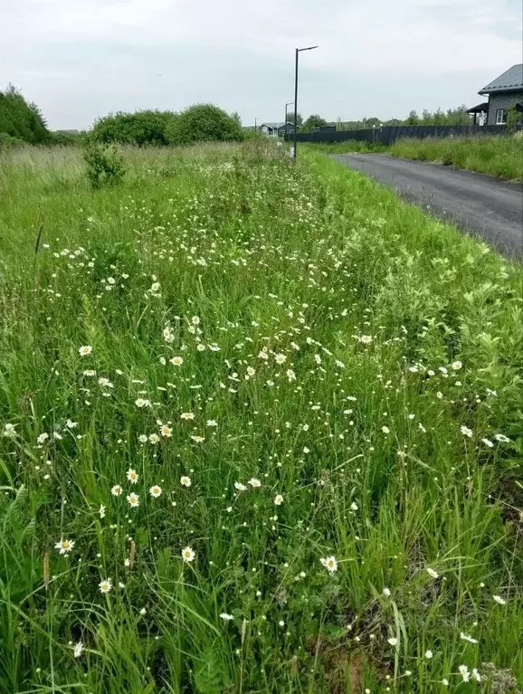 Участок в Московская область, Раменский муниципальный округ, ... - Фото 0