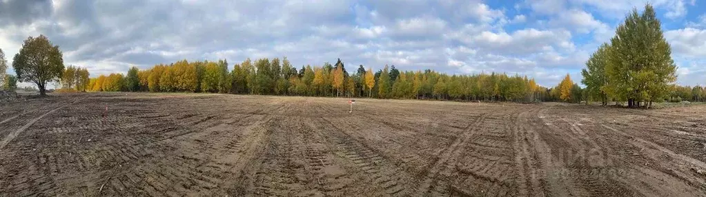 Участок в Ленинградская область, Приозерский район, Сосновское с/пос, ... - Фото 0