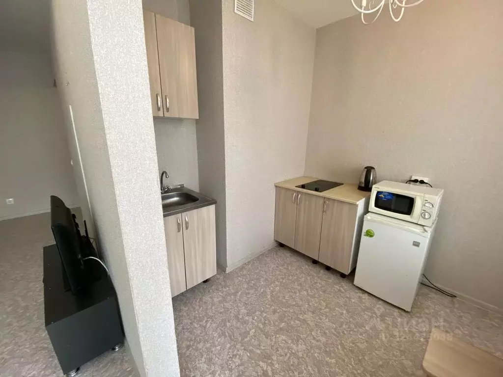 1-к кв. Красноярский край, Красноярск Лесопарковая ул., 33 (30.0 м) - Фото 1