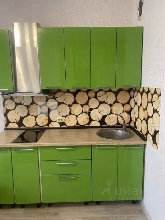 Студия Новосибирская область, Новосибирск ул. Петухова, 162 (30.0 м) - Фото 1