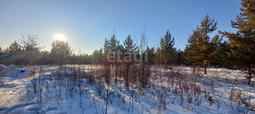 Участок в Забайкальский край, Читинский район, с. Смоленка  (10.0 ... - Фото 1