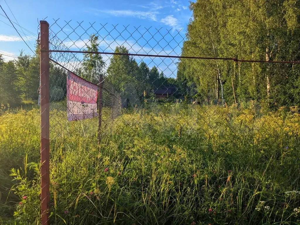Участок 10 сот. (СНТ, ДНП) - Фото 0