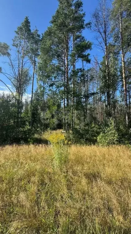 Участок в Нижегородская область, Балахнинский муниципальный округ, д. ... - Фото 1
