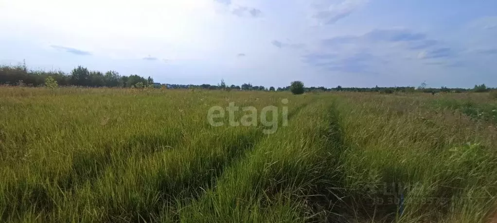 Участок в Владимирская область, Муромский район, с. Борисоглеб  (15.1 ... - Фото 1