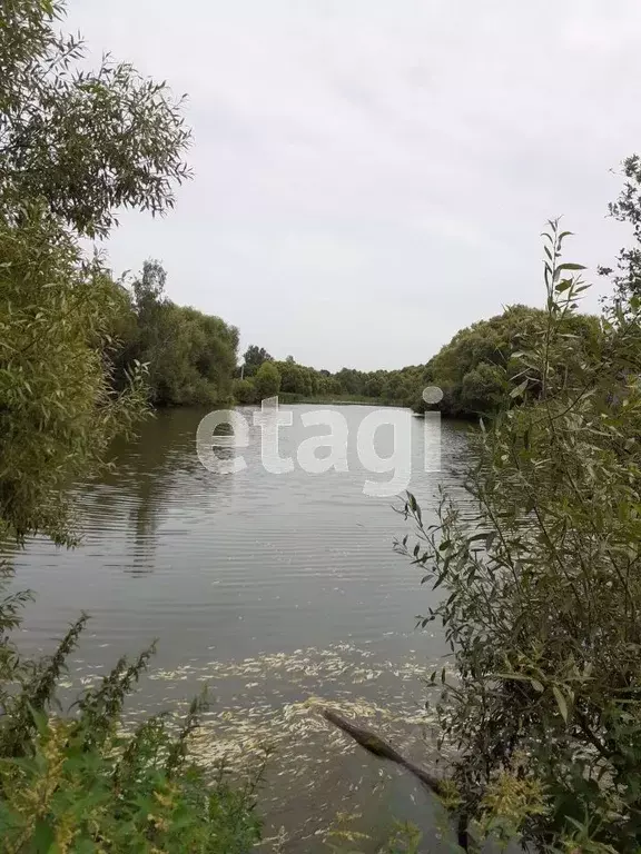 Участок в Калужская область, Козельск  (35.0 сот.) - Фото 1