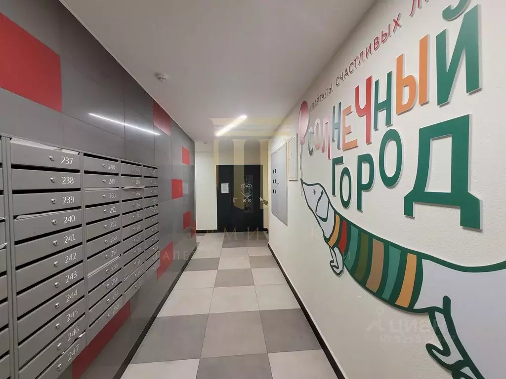 Студия Санкт-Петербург просп. Ветеранов, 185к3 (23.8 м) - Фото 1