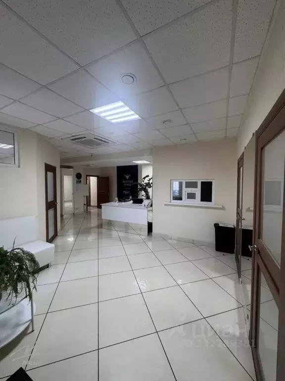 Помещение свободного назначения в Алтайский край, Барнаул ул. Юрина, ... - Фото 2