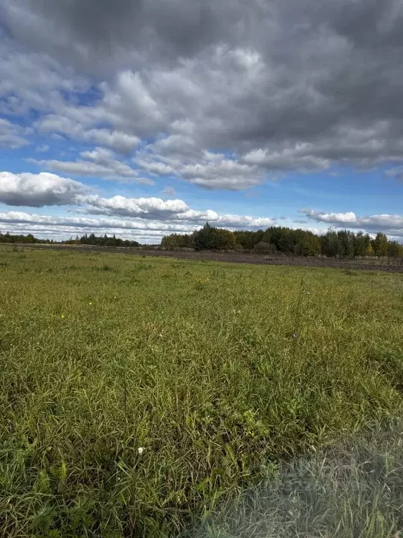 Участок в Владимирская область, Суздальский район, с. Павловское  ... - Фото 1