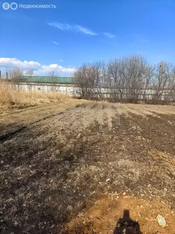 Дом в село Тамбовка, улица Жужжалкина (28.1 м) - Фото 2