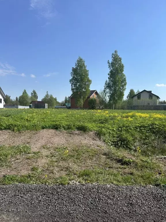 Участок в Ленинградская область, Всеволожский район, Колтушское ... - Фото 2