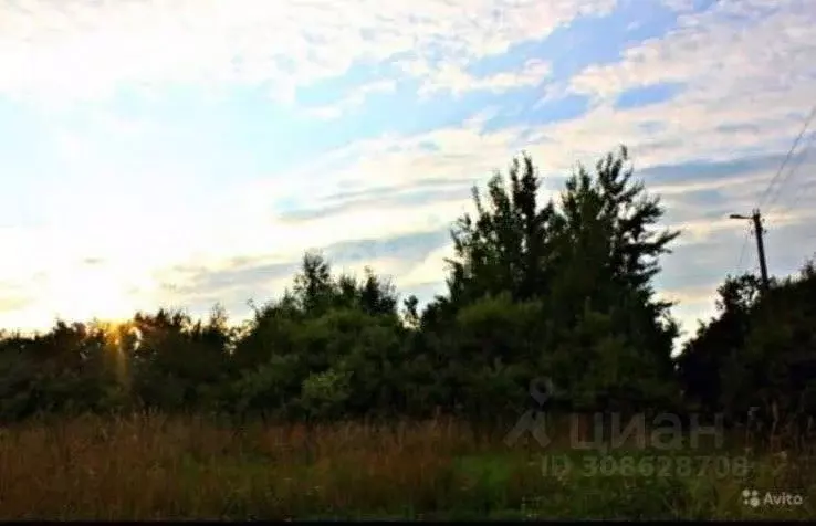 Участок в Псковская область, Печорский муниципальный округ, д. Моложва ... - Фото 2
