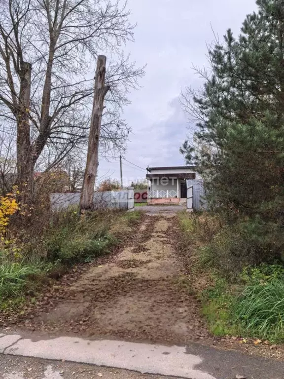 Помещение свободного назначения в Калужская область, с. Совхоз ... - Фото 2