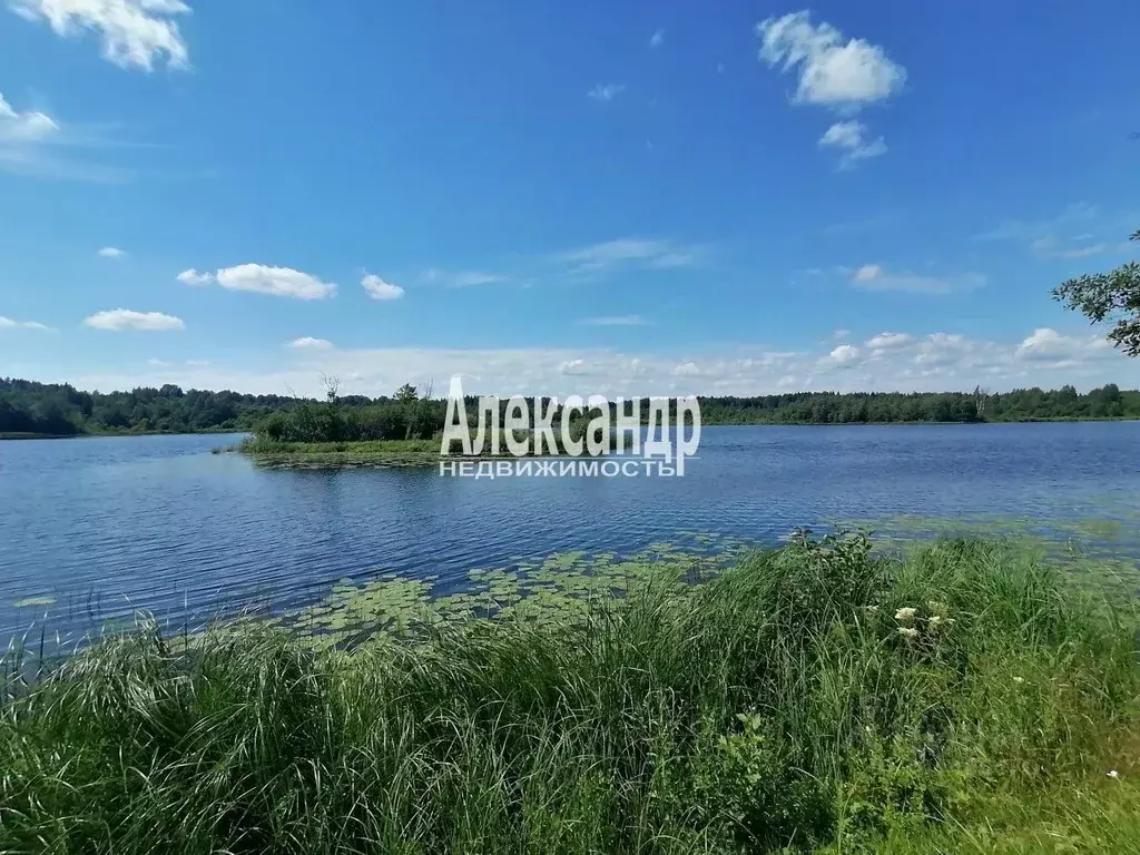 Дом в Новгородская область, Окуловский район, Турбинное с/пос, д. ... - Фото 1