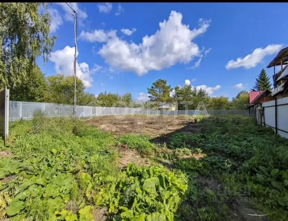 Участок в Тюменская область, Тюмень Якорь садовое товарищество, ул. ... - Фото 0