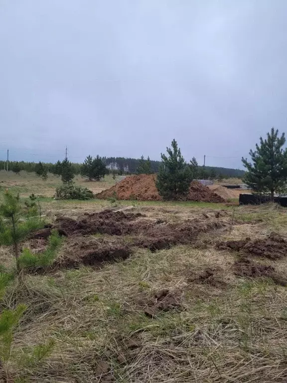 Участок в Татарстан, Нижнекамский район, Каенлинское с/пос, с. Борок ... - Фото 1