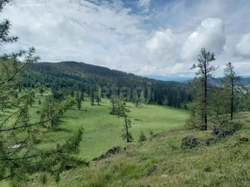 Участок в Усть-Канский район, село Яконур (1299.99 м) - Фото 1