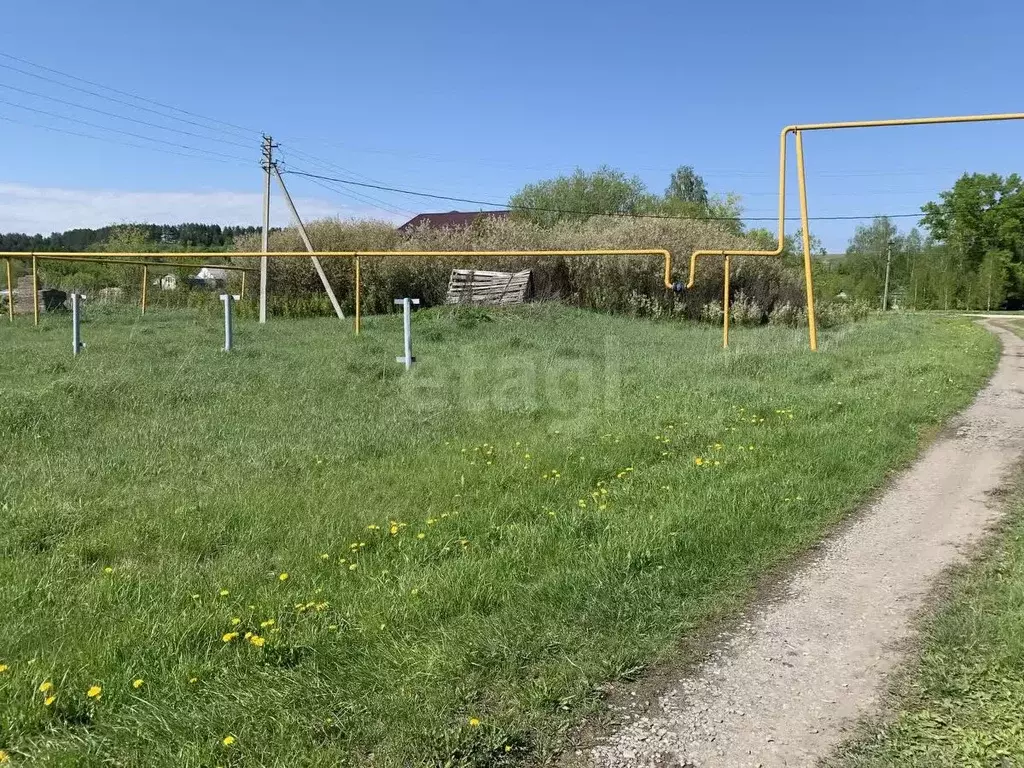 Участок в Мордовия, Саранск городской округ, д. Танеевка ул. ... - Фото 1