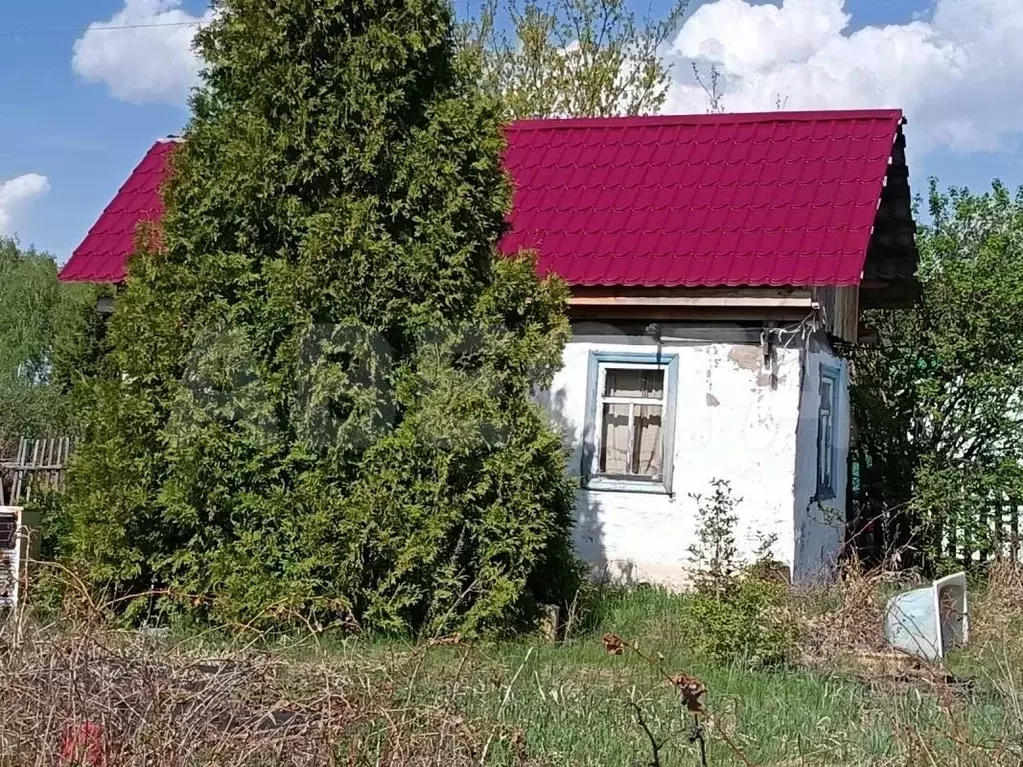 Дом в Омская область, Омский район муниципальный округ, СНТ Березка ... - Фото 1