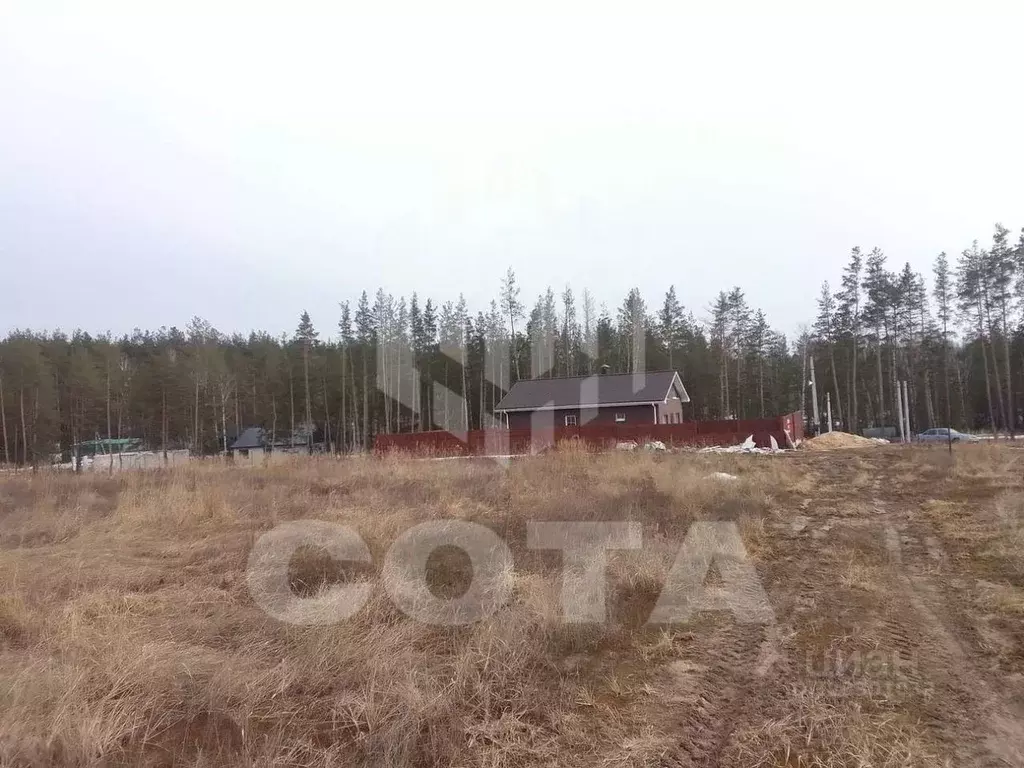 Участок в Воронежская область, Рамонский район, Новоживотинновское ... - Фото 2