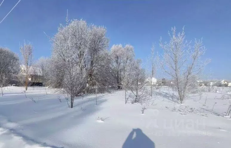 Участок в Московская область, Раменский муниципальный округ, д. ... - Фото 2
