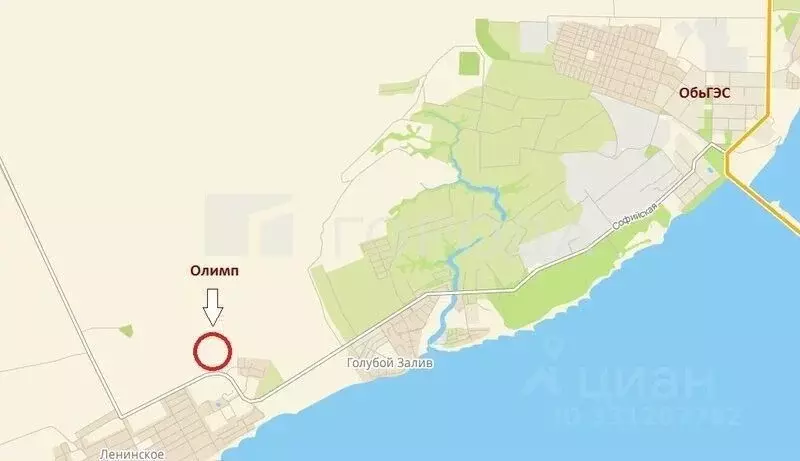 Участок в Новосибирская область, Новосибирский район, Морской ... - Фото 1