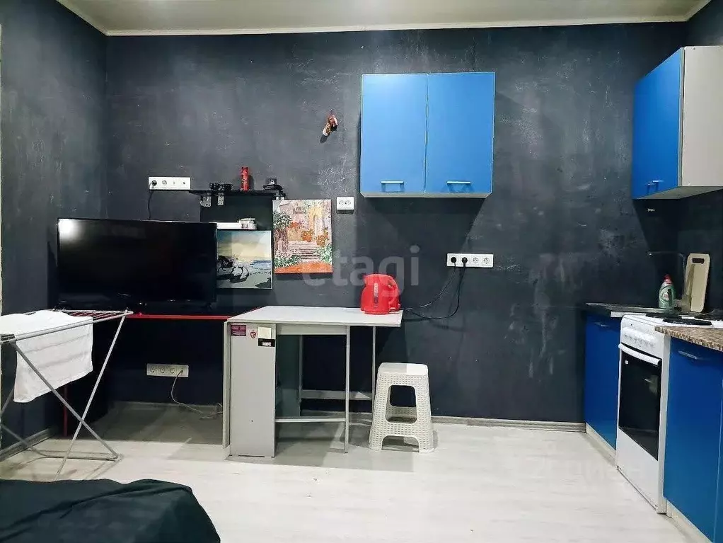 Студия Краснодарский край, Динской район, Южно-Кубанское с/пос, пос. ... - Фото 2