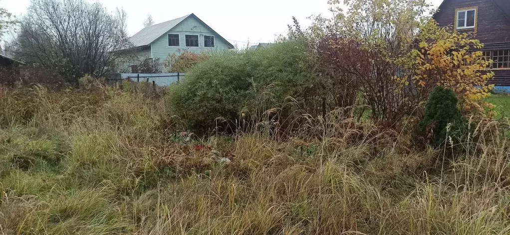 Участок в Московская область, Лосино-Петровский городской округ, д. ... - Фото 2