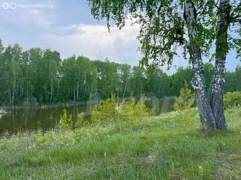 Участок в Тюменский район, село Кулига, коттеджный посёлок Сказка (8.5 ... - Фото 0