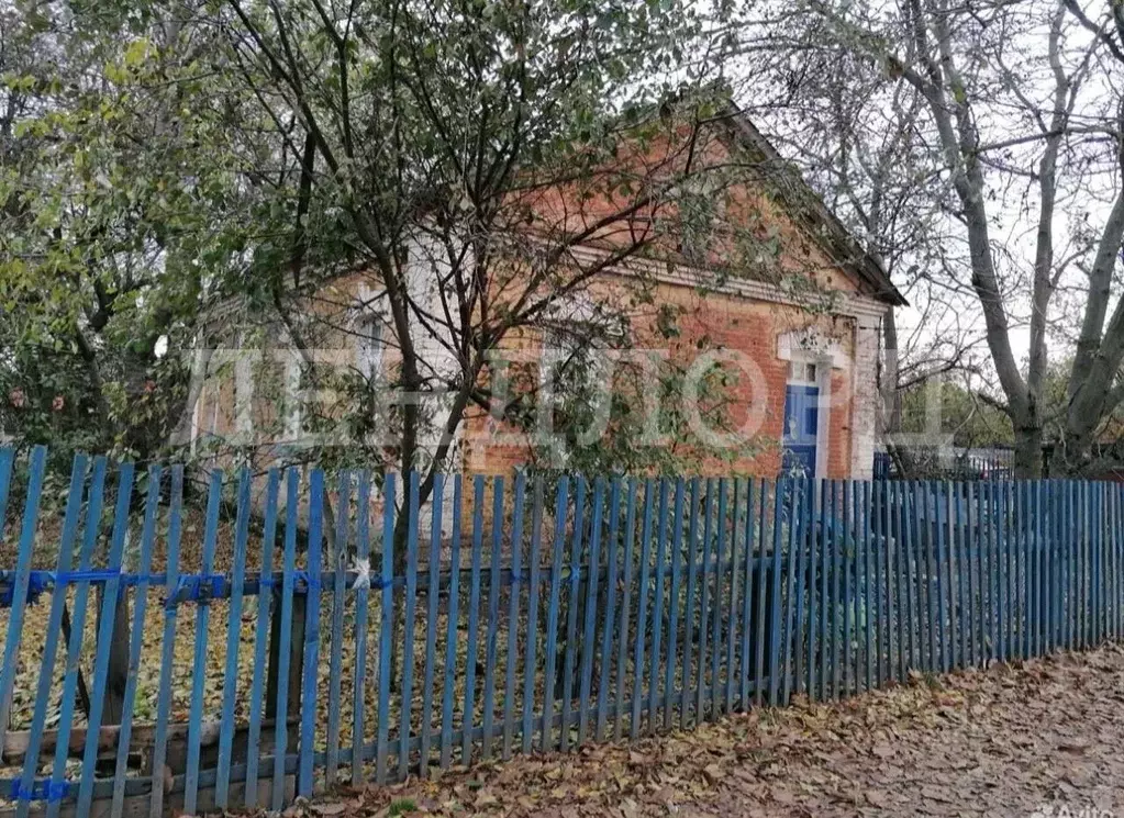 Дом в Краснодарский край, Кущевский район, Красносельское с/пос, с. ... - Фото 2