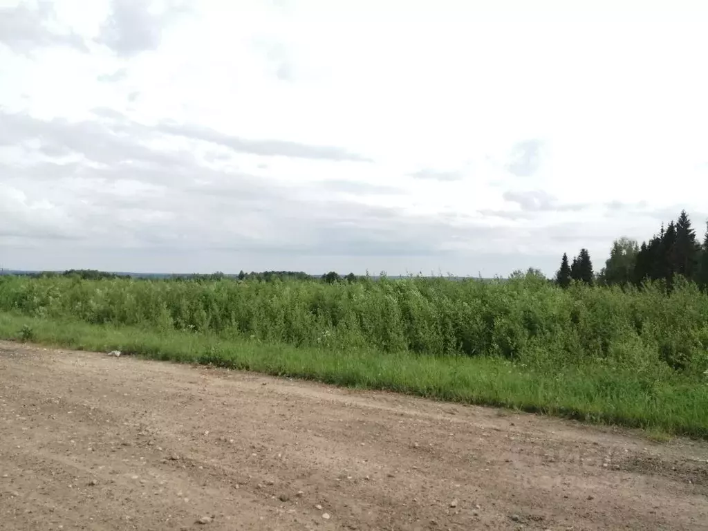 Участок в Московская область, Дмитровский муниципальный округ, д. ... - Фото 0