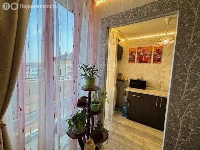 1-комнатная квартира: Калининградская область, Гурьевский ... - Фото 0