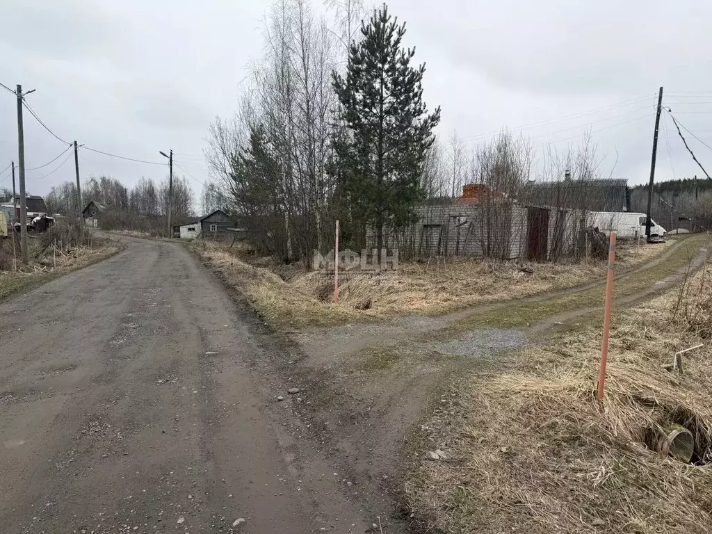 Участок в Карелия, Кондопожский муниципальный район, Кончезерское ... - Фото 2