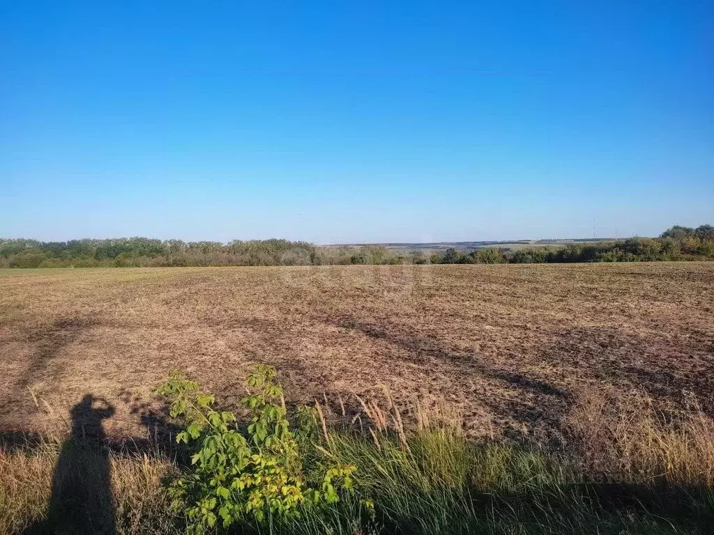 Участок в Белгородская область, Красногвардейский район, Никитовское ... - Фото 1