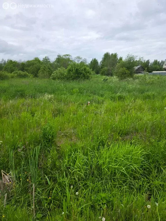 Участок в Вологодская область, Грязовецкий муниципальный округ, село ... - Фото 2