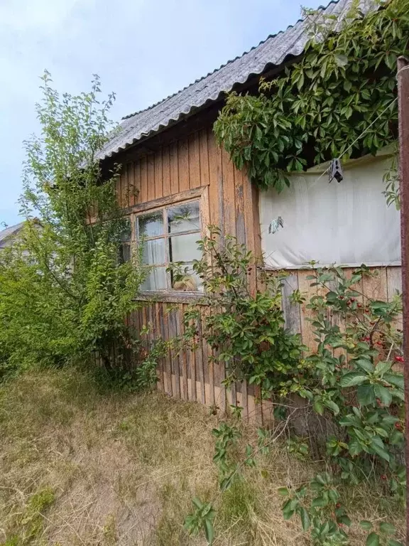 Дом в Калининградская область, Калининград Мечта СНТ, проезд 1-й (20 ... - Фото 0
