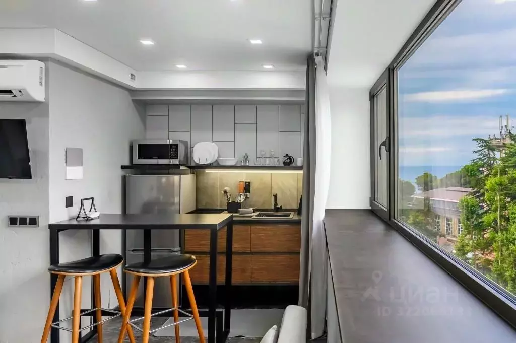 1-к кв. Краснодарский край, Сочи Курортный просп., 92/5 (22.0 м) - Фото 2